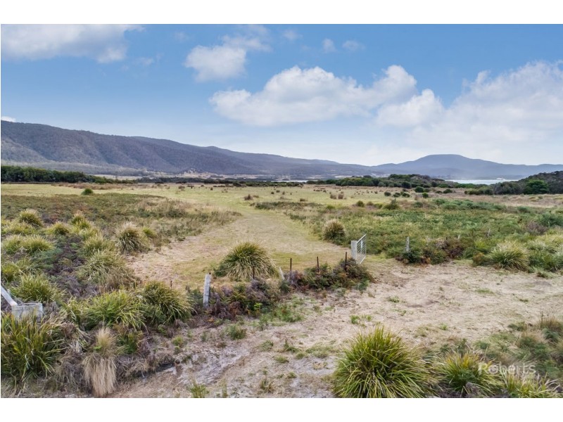 Lot 5 Champ Street, Seymour TAS 7215