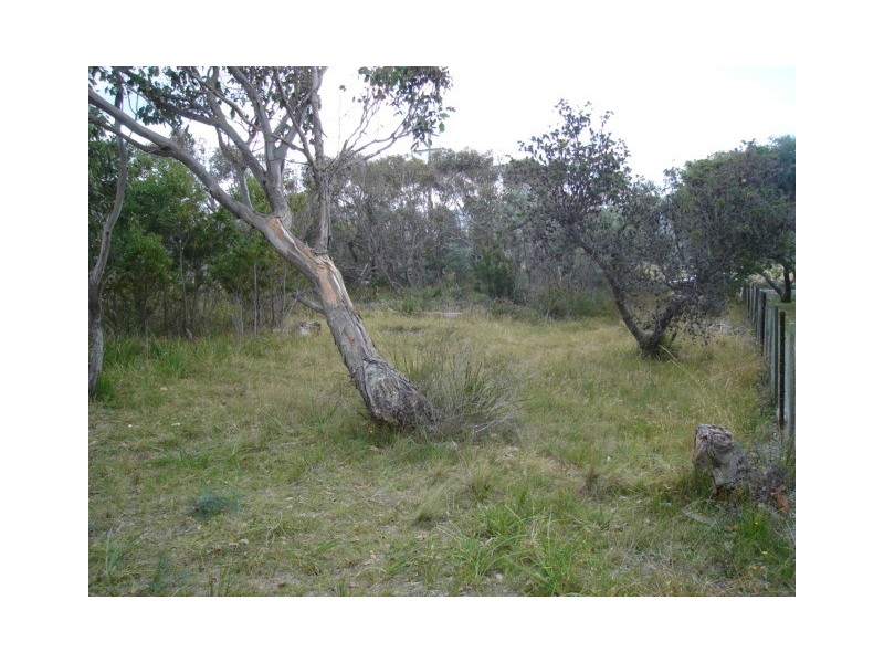 Lot 5 Tasman Highway, Bicheno TAS 7215
