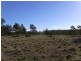 Lot 1 Lake Leake Road, Swansea TAS 7190