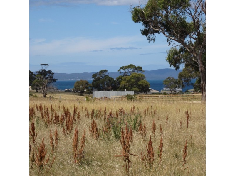 2 Cathcart Street, Swansea TAS 7190