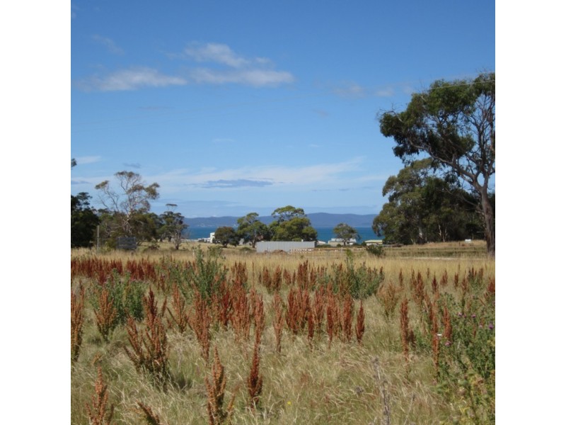 2 Cathcart Street, Swansea TAS 7190