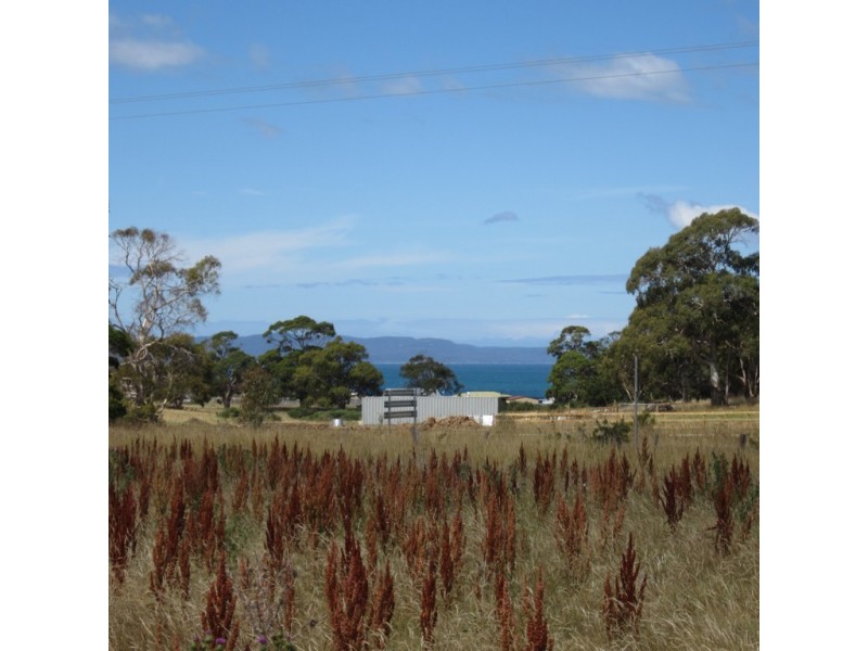 2 Cathcart Street, Swansea TAS 7190