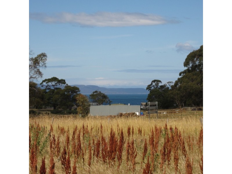 2 Cathcart Street, Swansea TAS 7190