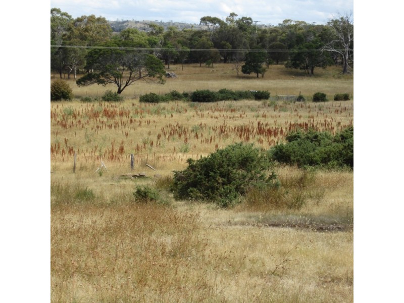 2 Cathcart Street, Swansea TAS 7190