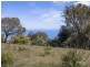 49 Hazards View Drive, Coles Bay TAS 7215