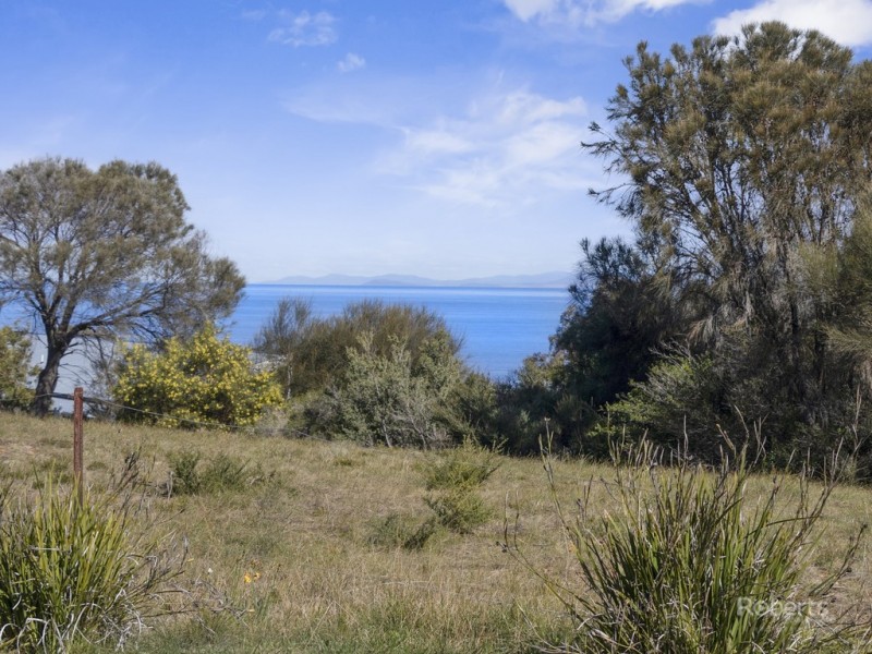49 Hazards View Drive, Coles Bay TAS 7215
