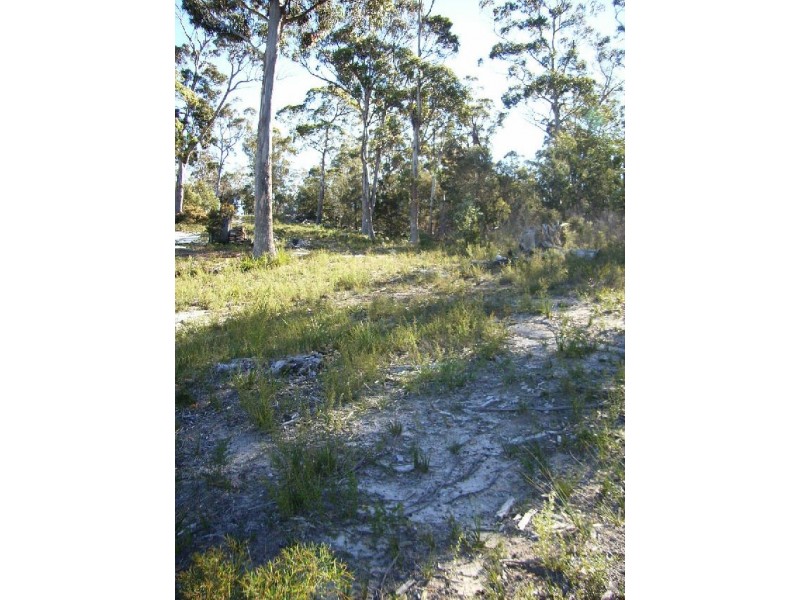 37 Bradley Drive, Coles Bay TAS 7215