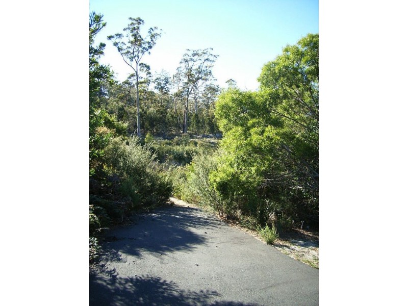 37 Bradley Drive, Coles Bay TAS 7215