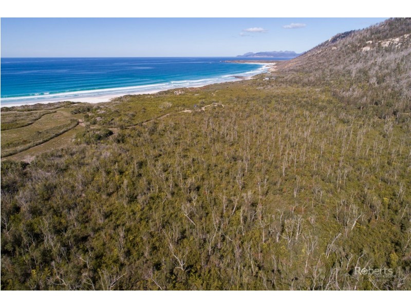 490 Courland Bay Road, Bicheno TAS 7215