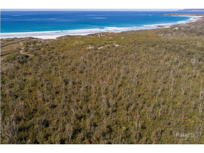 490 Courland Bay Road, Bicheno TAS 7215