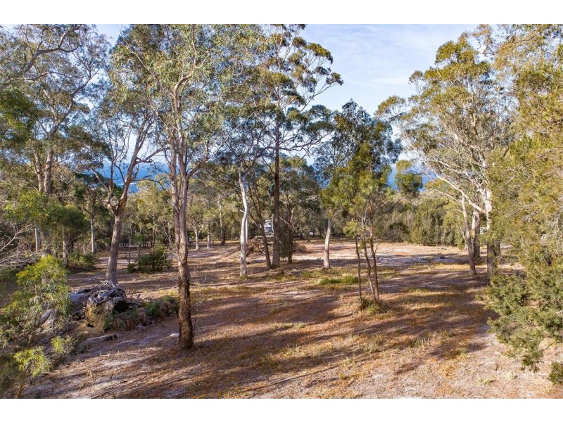 104 Harveys Farm Road, Bicheno TAS 7215