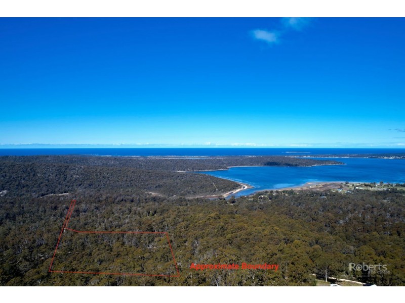 697 Binalong Bay Road, St Helens TAS 7216
