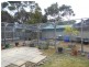 4 Waubs Court, Bicheno TAS 7215