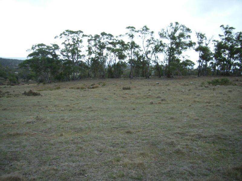 7 Tarleton Street, Swansea TAS 7190