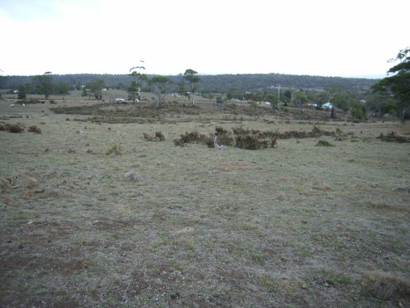 7 Tarleton Street, Swansea TAS 7190