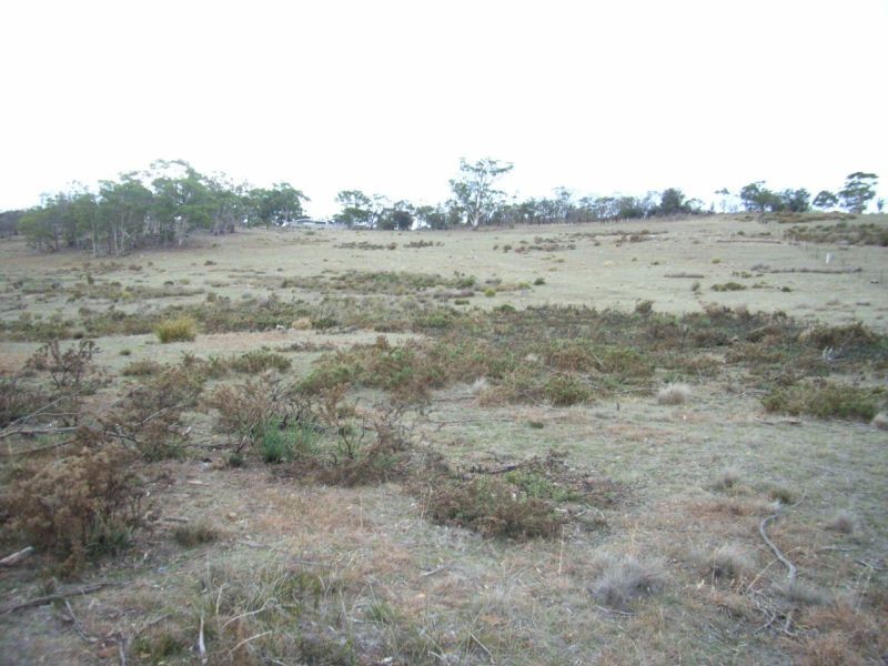 7 Tarleton Street, Swansea TAS 7190