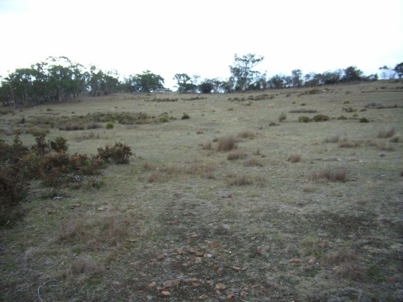 7 Tarleton Street, Swansea TAS 7190