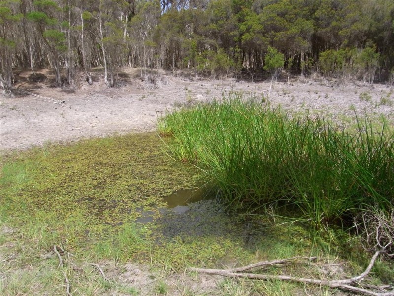 Lot 4 Macquarie Street, Seymour TAS 7215