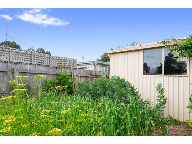 19 Shaw Street, Swansea TAS 7190