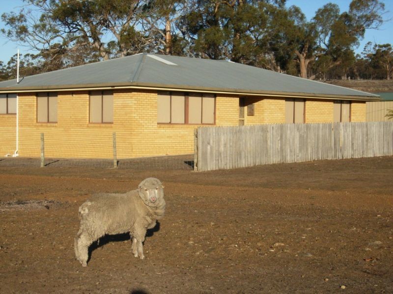 10048 Tasman Highway, Little Swanport TAS 7190