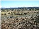 23 Noyes St, Swansea TAS 7190