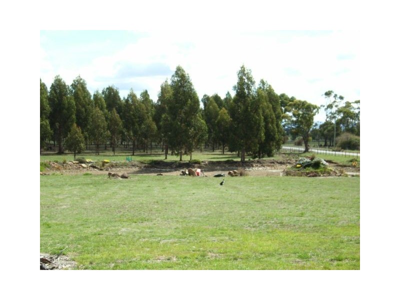 2 Burgess Street, Swansea TAS 7190