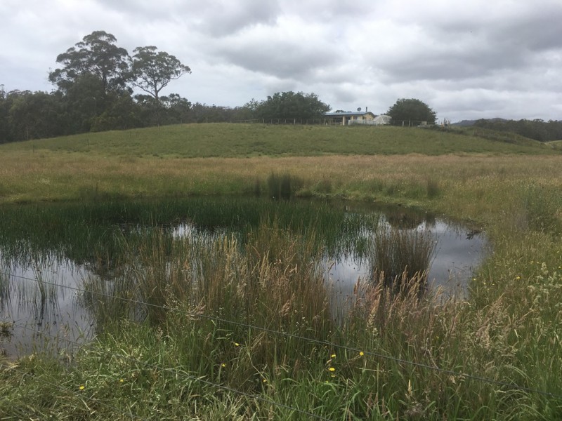 267 Medeas Cove Road, St Helens TAS 7216