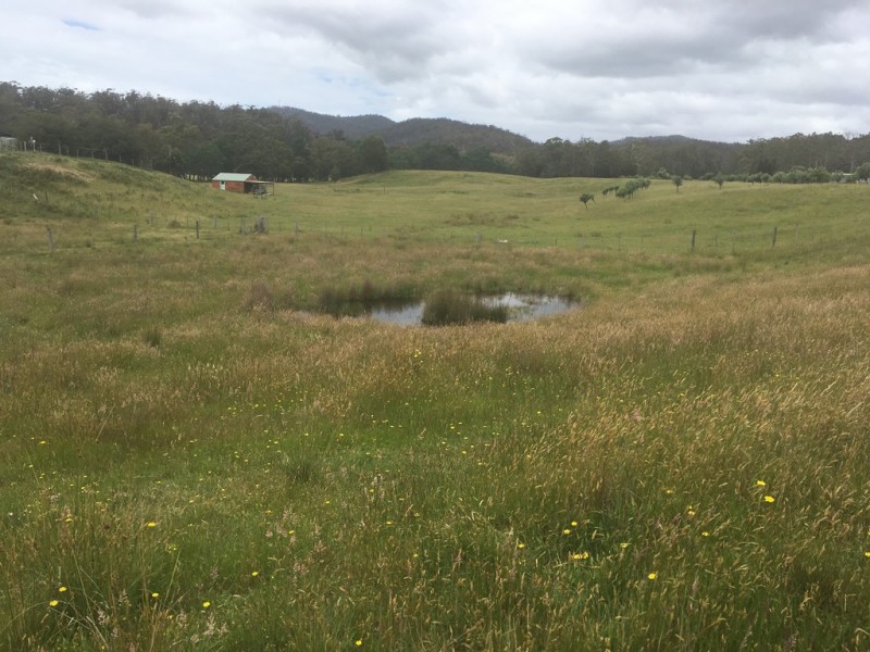 267 Medeas Cove Road, St Helens TAS 7216