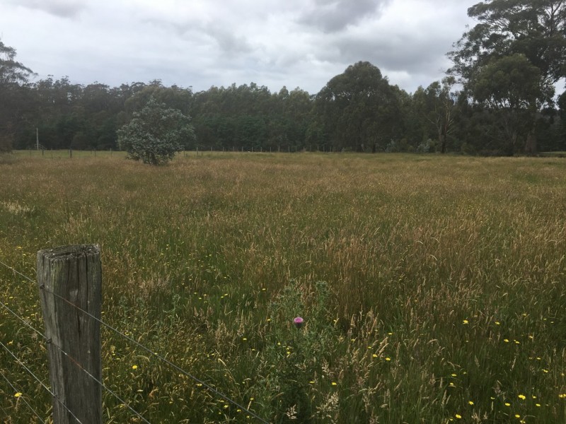 267 Medeas Cove Road, St Helens TAS 7216