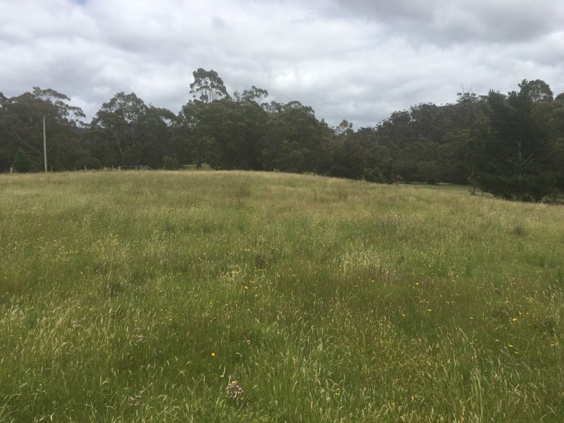 267 Medeas Cove Road, St Helens TAS 7216