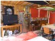 6 Makepeace Avenue, Bicheno TAS 7215