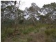 Lot 1 Dolphin Sands Road, Dolphin Sands TAS 7190