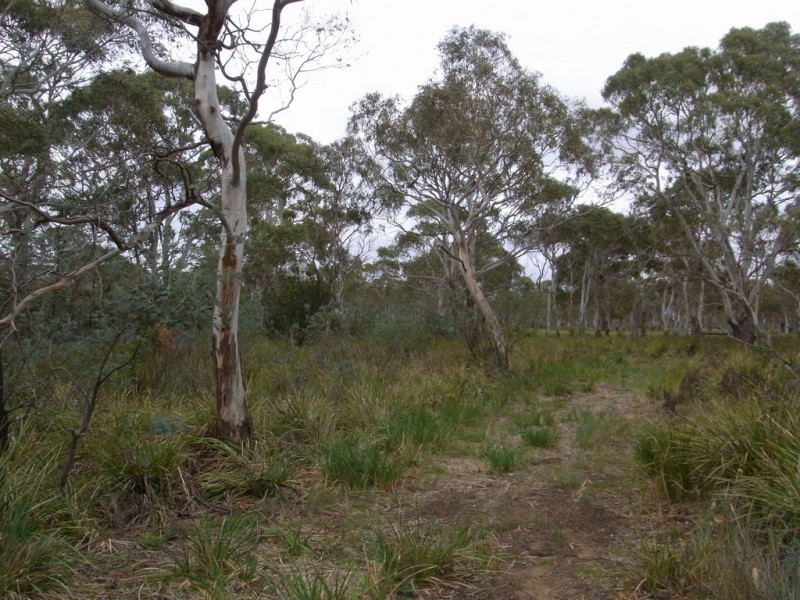 Lot 1 Dolphin Sands Road, Dolphin Sands TAS 7190