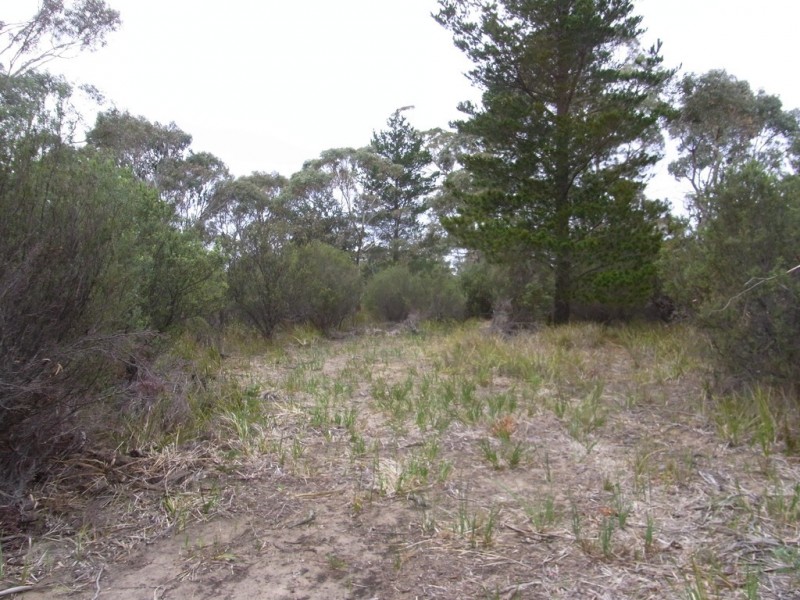 Lot 1 Dolphin Sands Road, Dolphin Sands TAS 7190