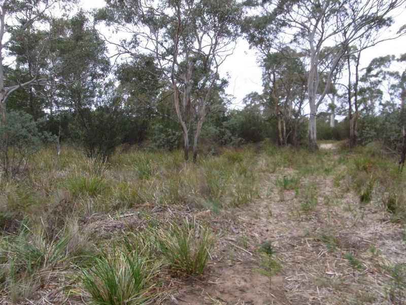 Lot 1 Dolphin Sands Road, Dolphin Sands TAS 7190