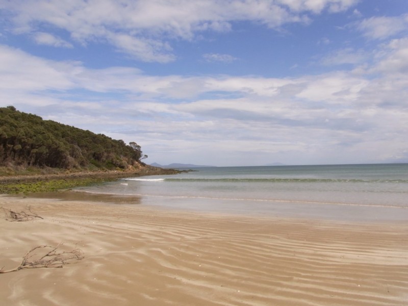 14 Oyster Bay Court, Coles Bay TAS 7215