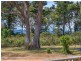 20533 Tasman Highway, Chain Of Lagoons TAS 7215