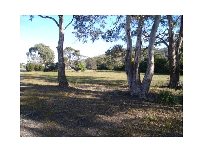 Lot 3/70 Burgess Street, Bicheno TAS 7215