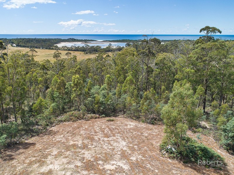 6 Barnard Drive, Bicheno TAS 7215