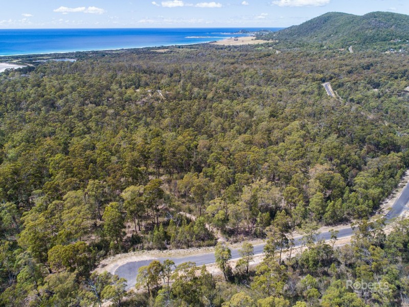 6 Barnard Drive, Bicheno TAS 7215