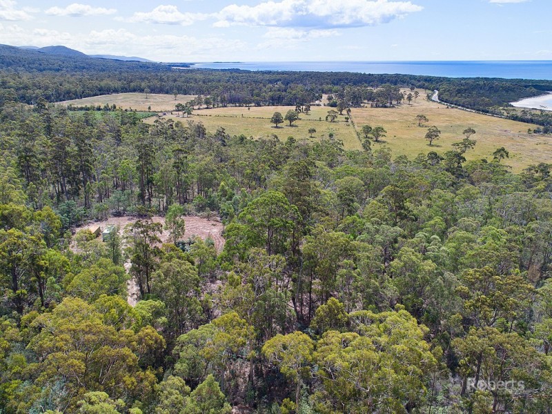 6 Barnard Drive, Bicheno TAS 7215