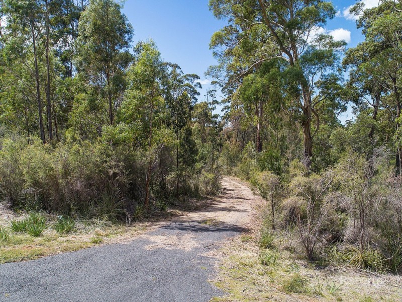 6 Barnard Drive, Bicheno TAS 7215
