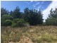18 Bedgegood Place, Seymour TAS 7215