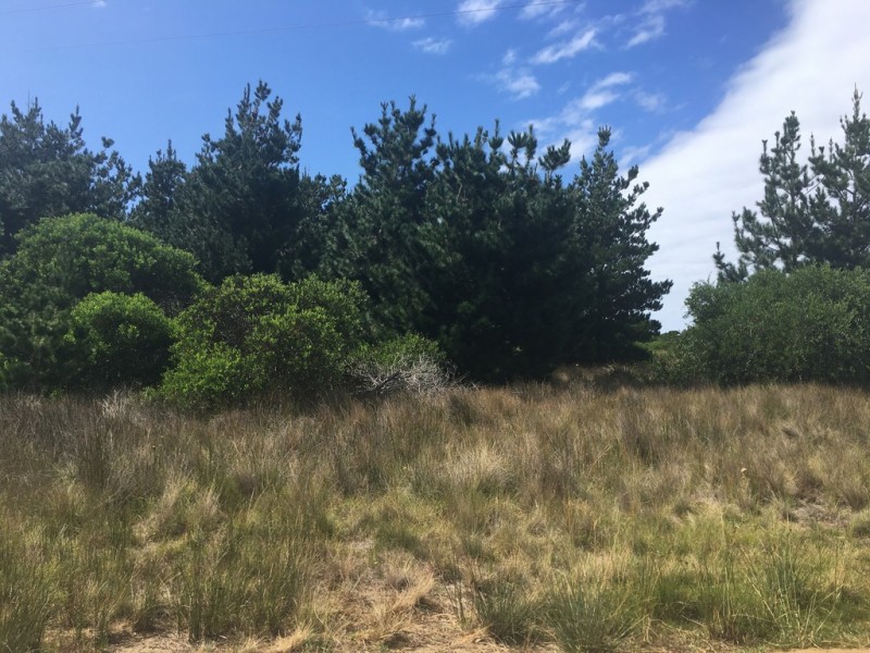 18 Bedgegood Place, Seymour TAS 7215