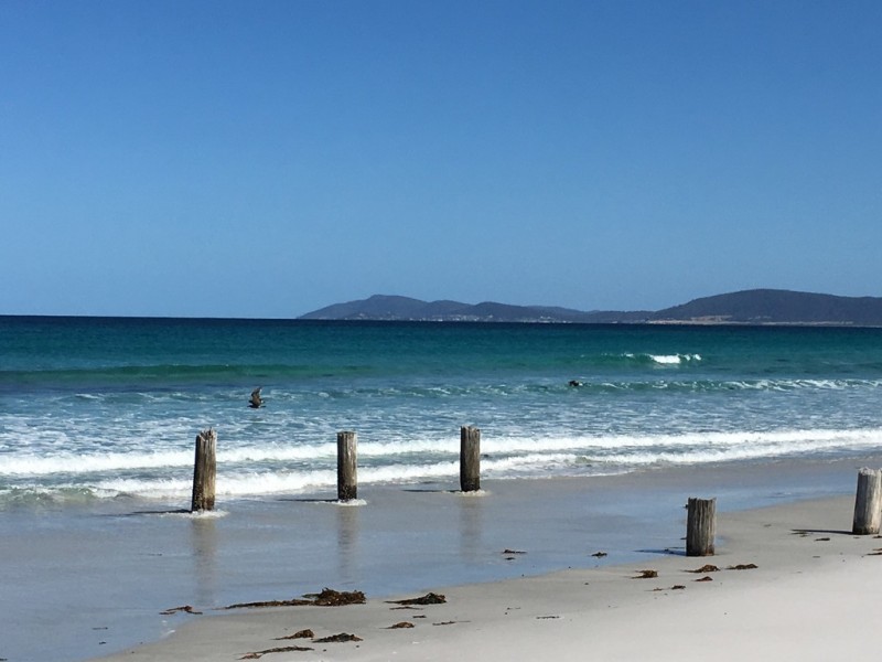 18 Bedgegood Place, Seymour TAS 7215