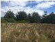18 Bedgegood Place, Seymour TAS 7215