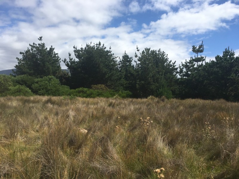 18 Bedgegood Place, Seymour TAS 7215