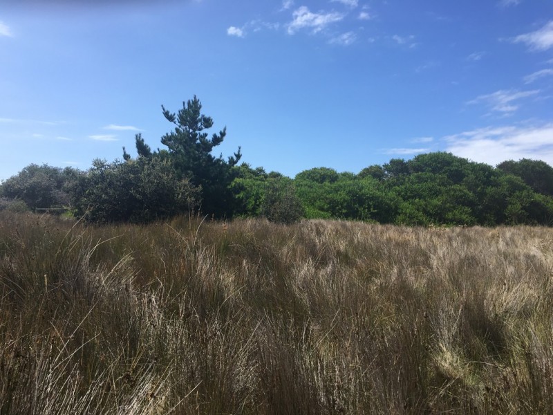 18 Bedgegood Place, Seymour TAS 7215