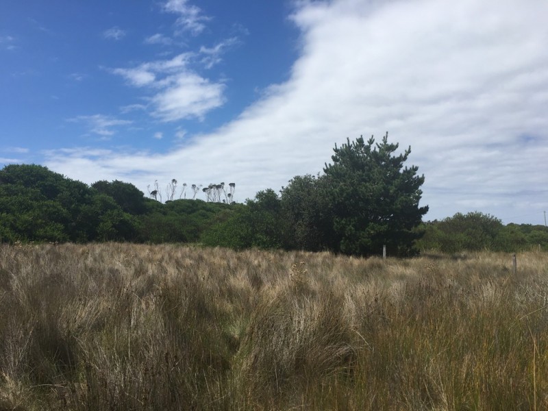 18 Bedgegood Place, Seymour TAS 7215