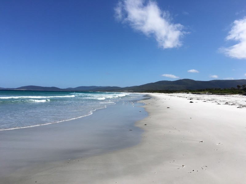 18 Bedgegood Place, Seymour TAS 7215